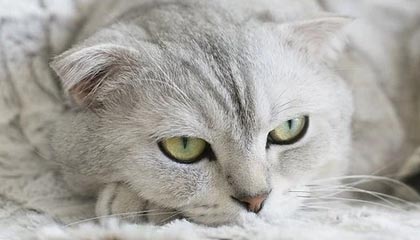 九游网游官网-英雄联盟新版本上线，英雄联盟新版本上线多久