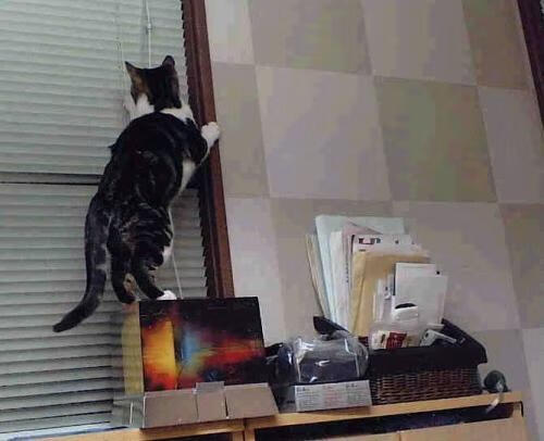 人工智能辅助电竞训练,提高选手竞技水平,训练人工智能打游戏