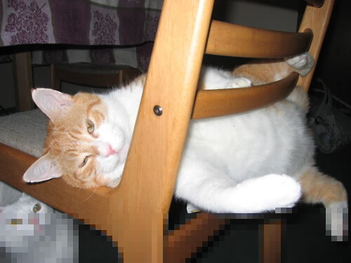 九游网游官网-公益影像：明星运动员的慈善之旅，体育明星做公益