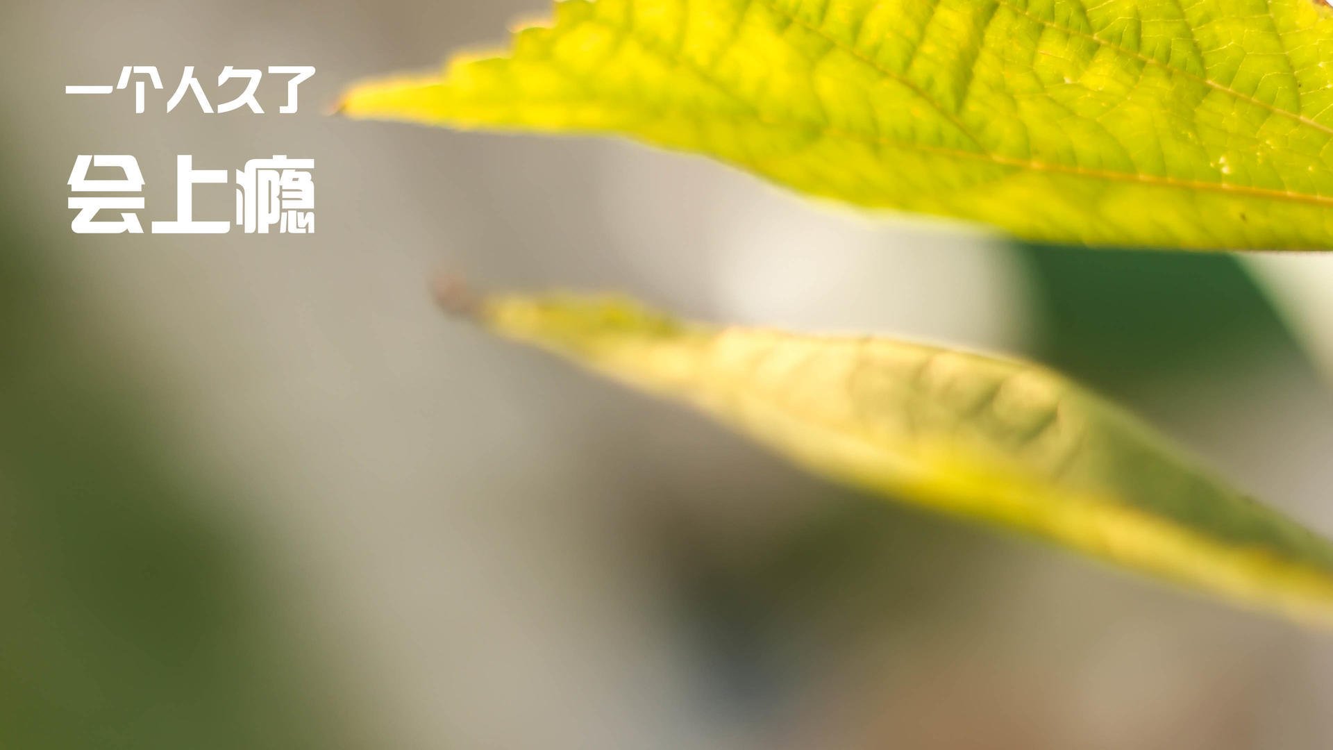 JiuyouAPP下载-全国青少年“篮球文化体验周”在杭州精彩开启，推广体育文化，we game杭州青少年篮球俱乐部挑战赛