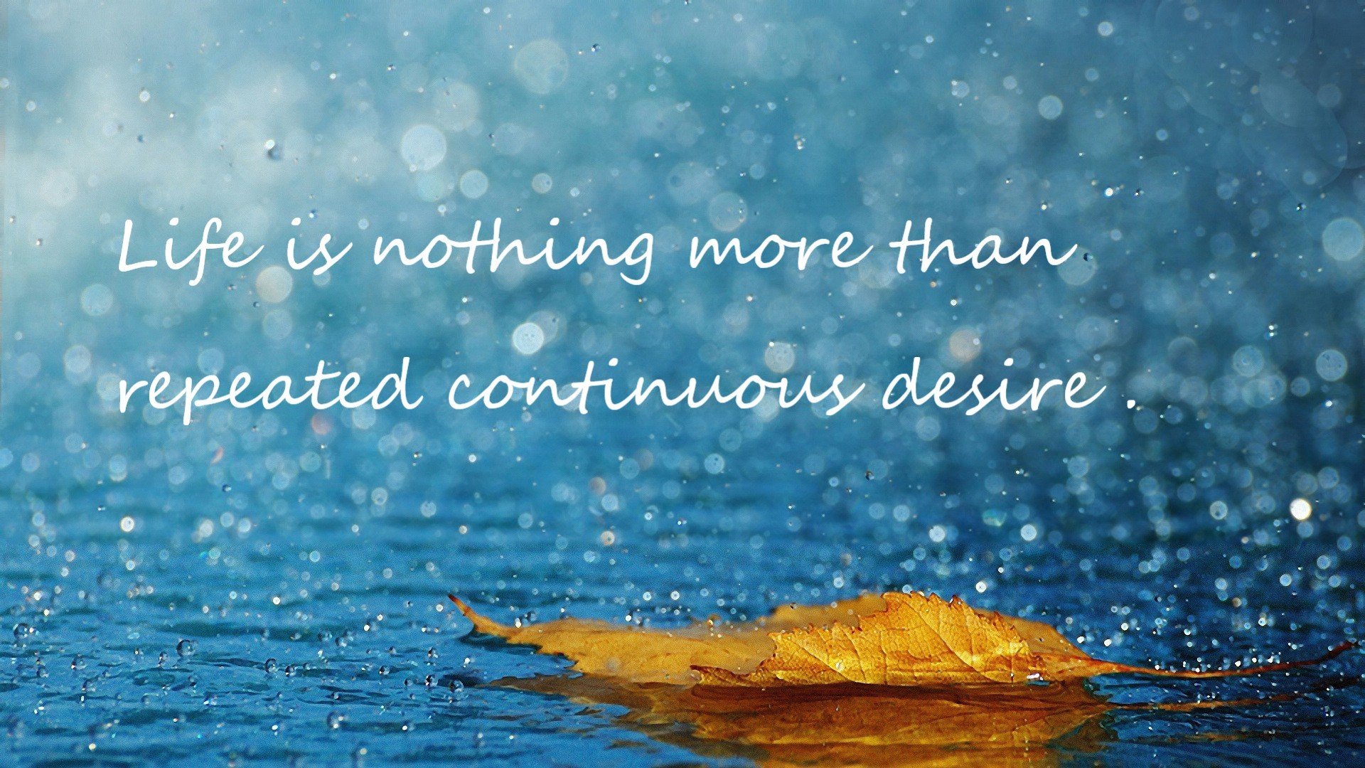 大型熊猫徒步游,亲近自然的环保运动,熊猫徒步西藏