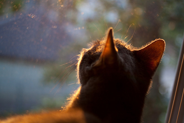 德甲青训基地打造“足球工厂”,青训水平领先欧洲,足球青训学校排名