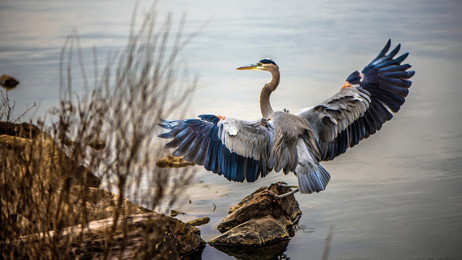 法甲精彩纷呈,比分2-1,比赛中精妙配合和关键突破,关键数据:角球获胜高达10个,射正率65%