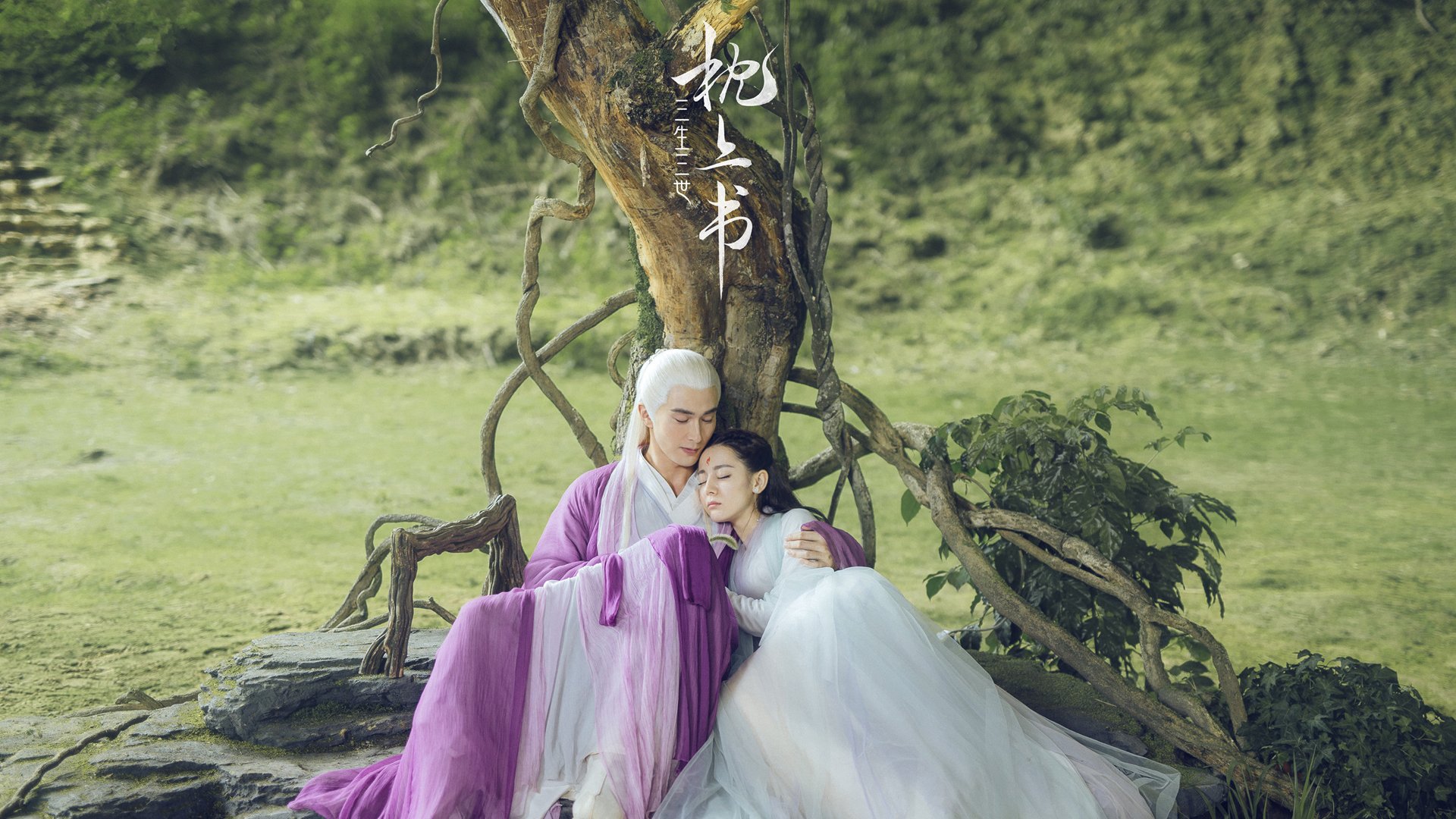 青少年“奔跑梦想”在福州举办大型青训交流会,推动青训普及,福州青少年训练基地