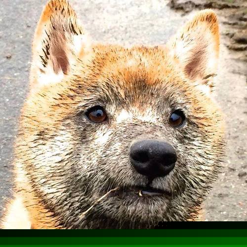 骑士球员成为联合国和平大使,推动国际交流,骑士队签约