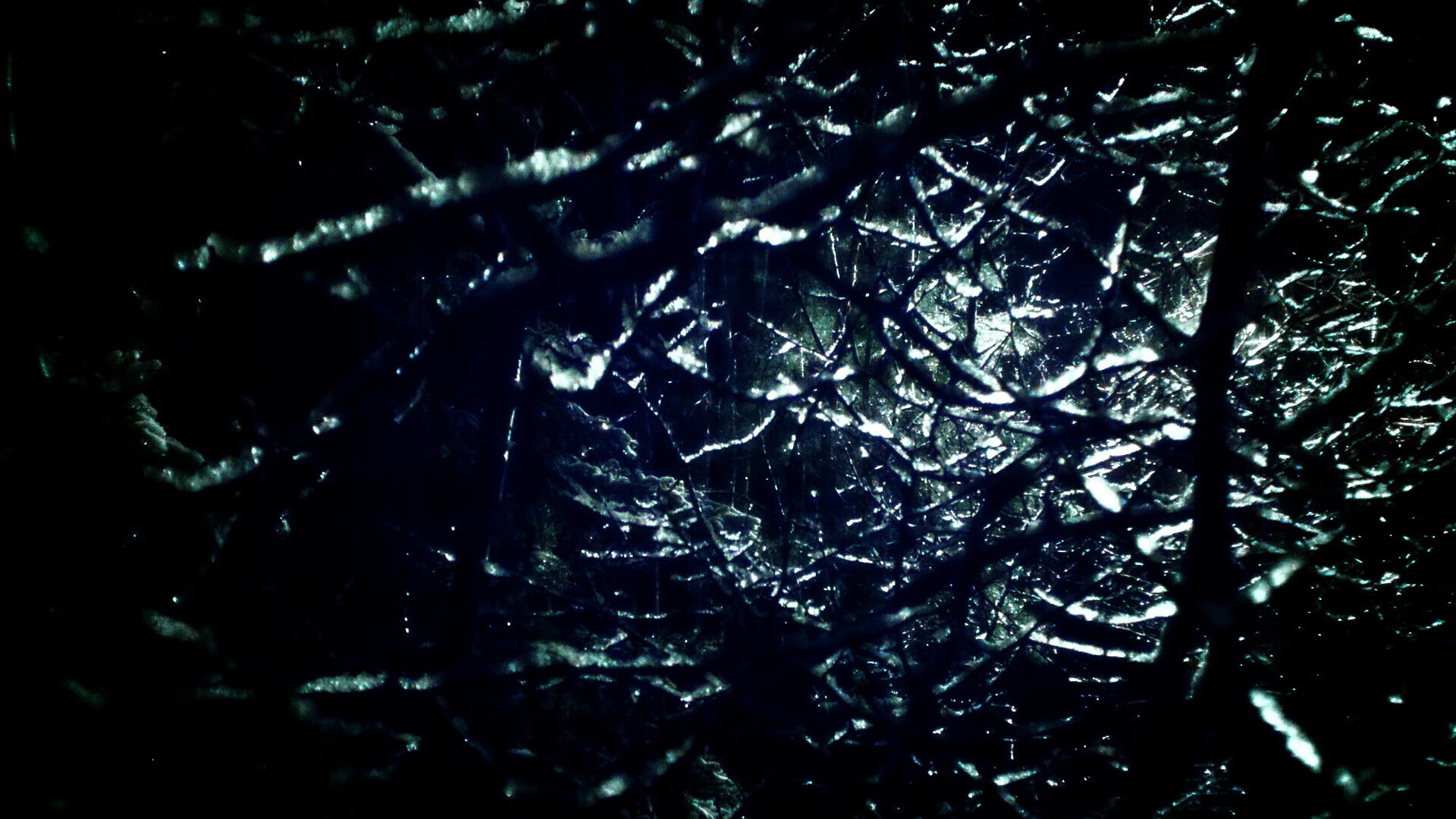 WNBA教练团队调整频繁,nba球队教练