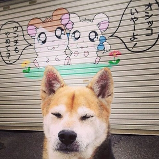 中超球队与外籍教练签约,引进先进理念,中超外国教练