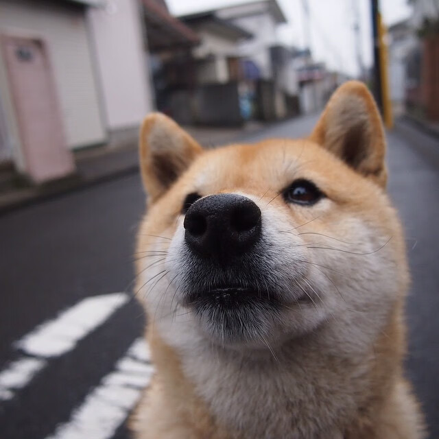 中超外援助力联赛竞技水平提升,中超外援登场方案