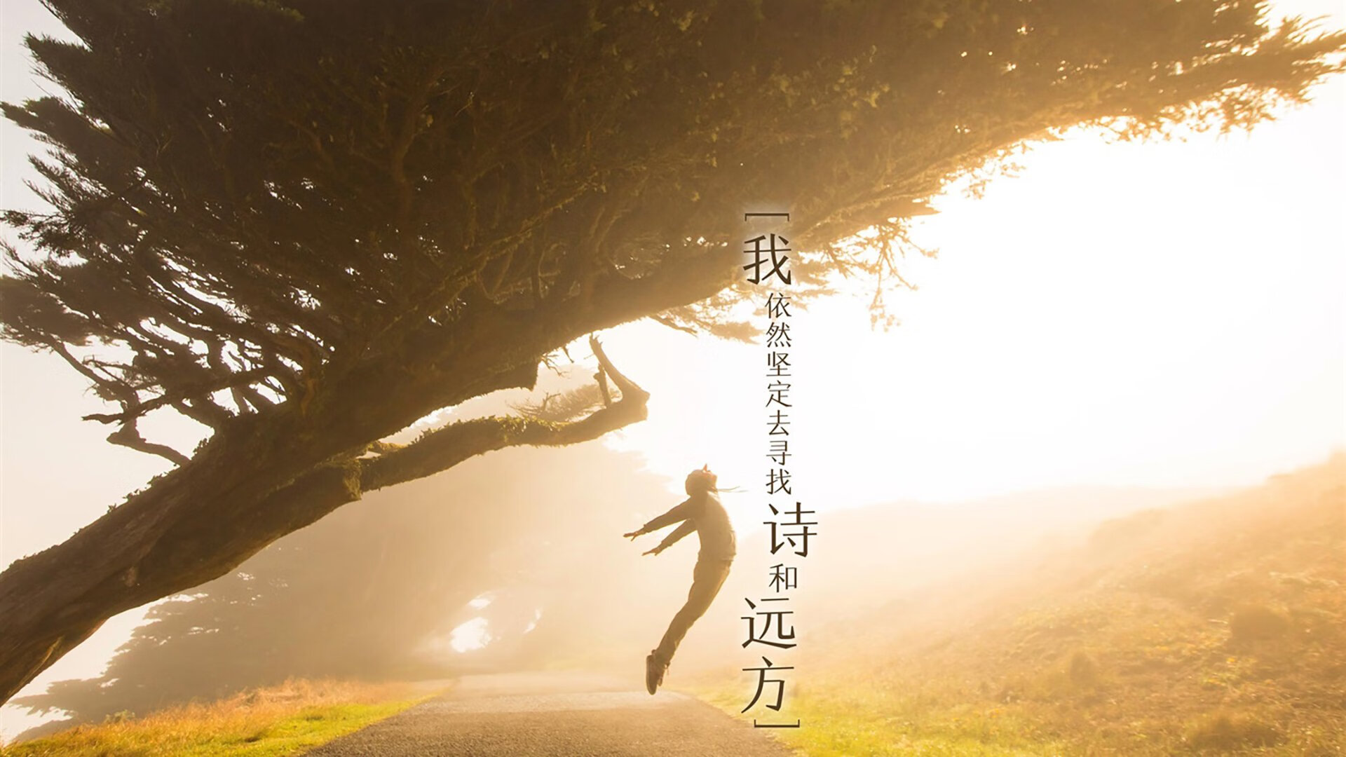 中超联赛山东泰山三连胜,2021中超山东泰山阵容