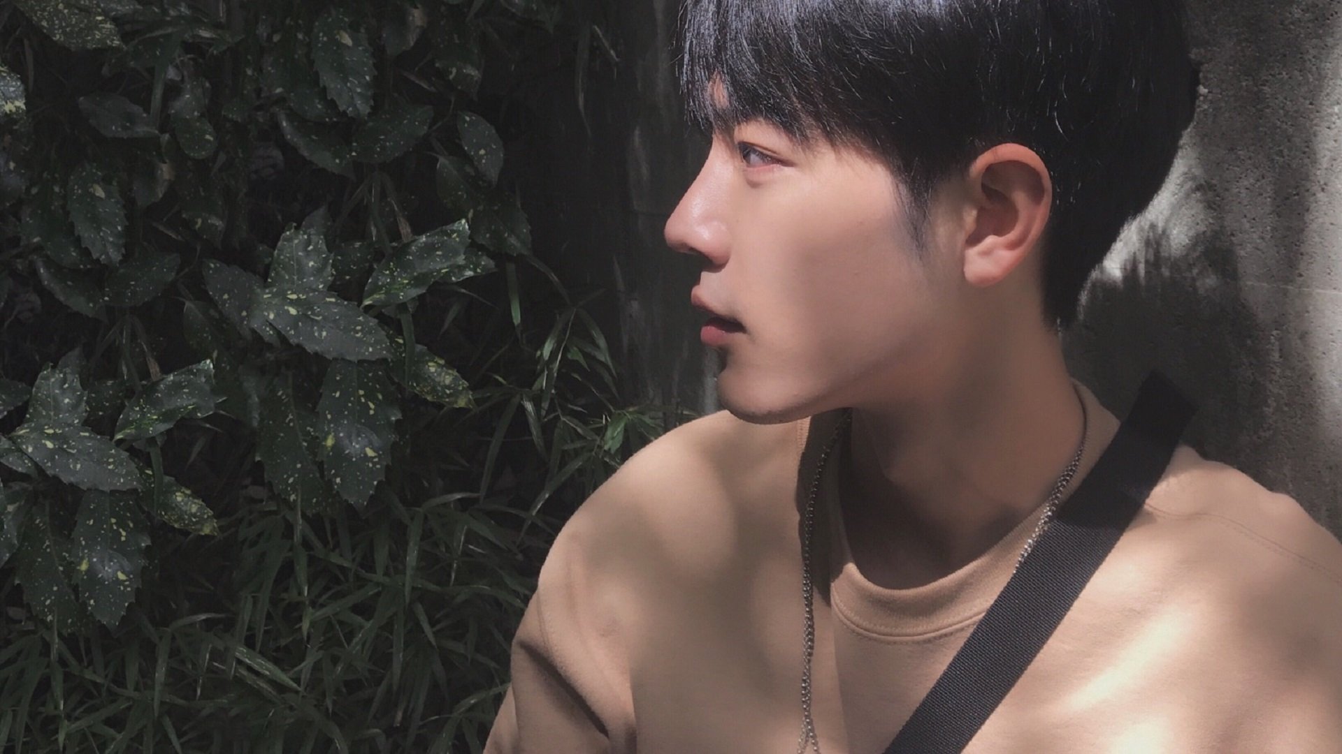 利兹联反击快速犀利,白玫瑰军团期待爆冷,利兹联 白玫瑰