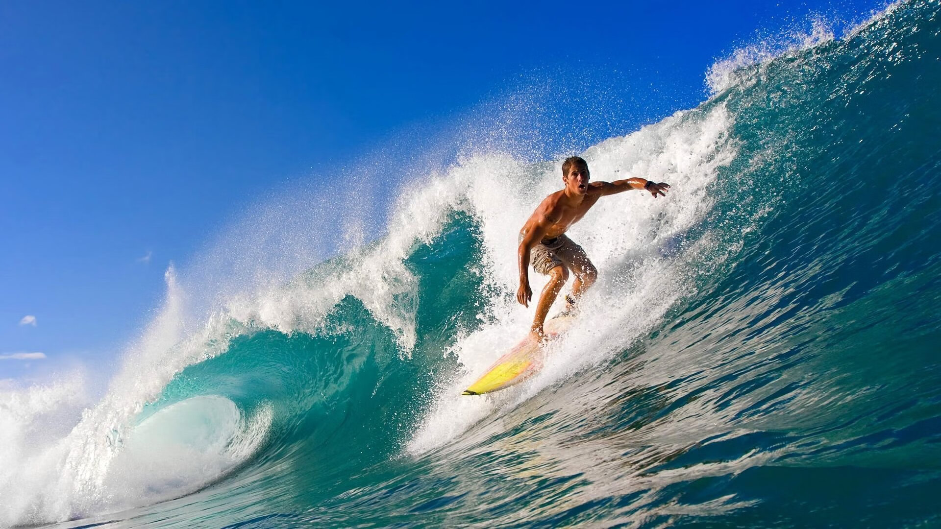 九游娱乐网页版-体育产业技术创新项目，体育产业技术创新项目名称