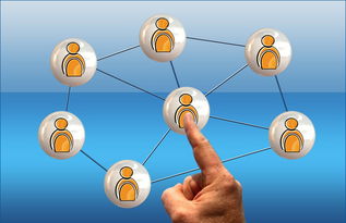 九游官网-意甲球队季中高强度赛程负荷与表现关系研究，意甲各项记录